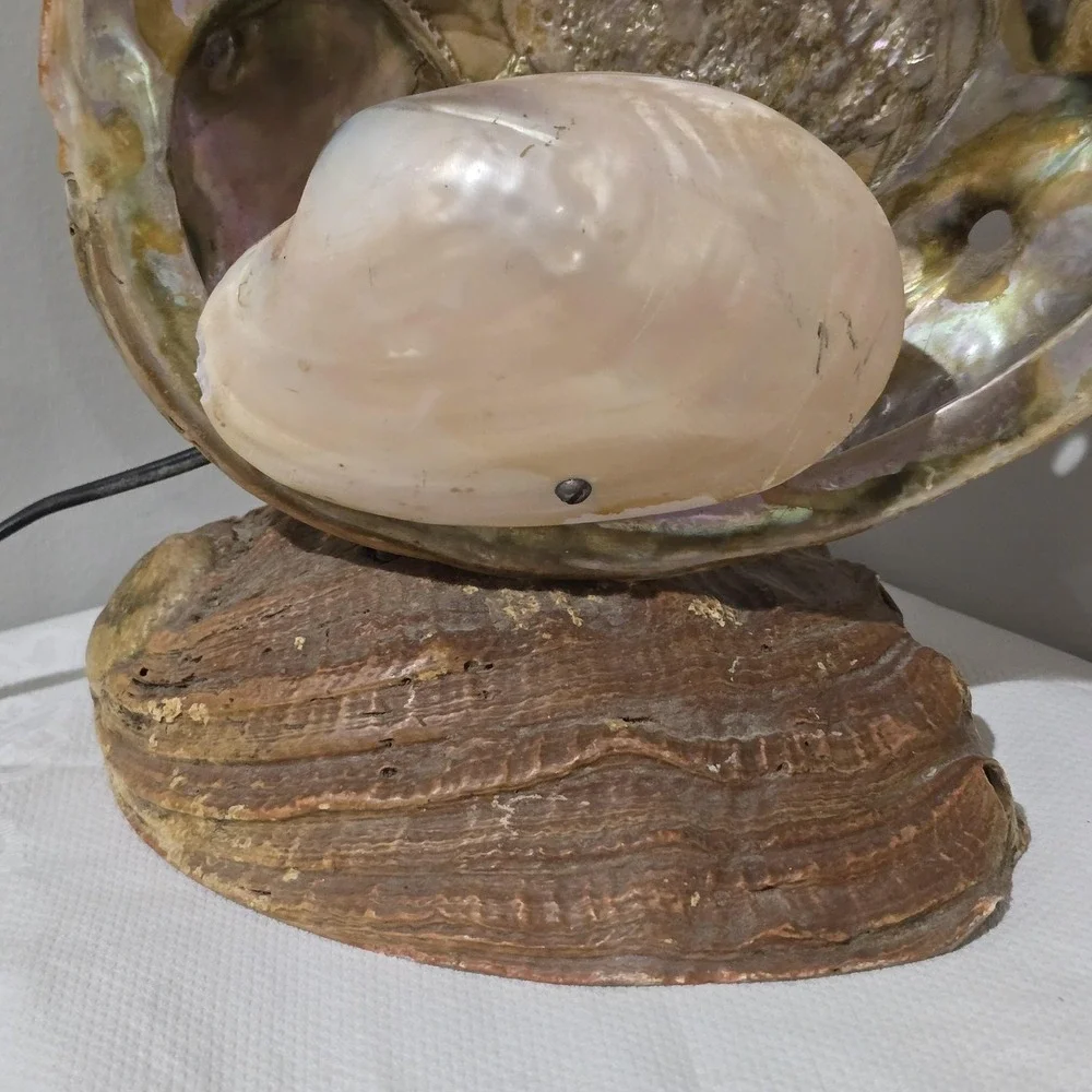 Vintage 60s Abalone Shell Lamp Mother of Pearl Coastal Beach Decor Night Light